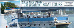 florida boat tour website design